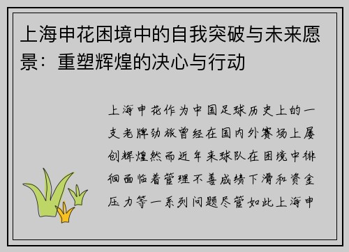 上海申花困境中的自我突破与未来愿景：重塑辉煌的决心与行动